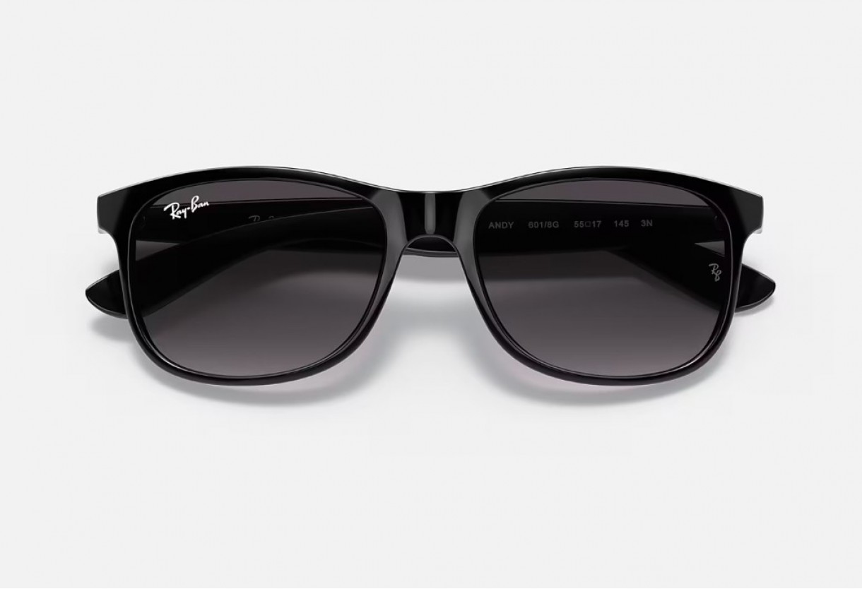 Γυαλιά ηλίου Ray Ban RB 4202 Andy