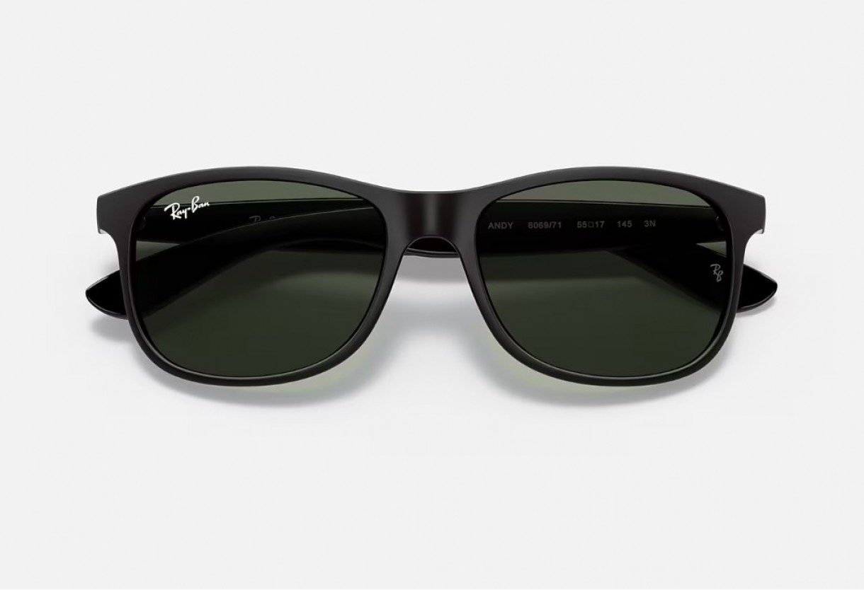 Γυαλιά ηλίου Ray Ban RB 4202 Andy