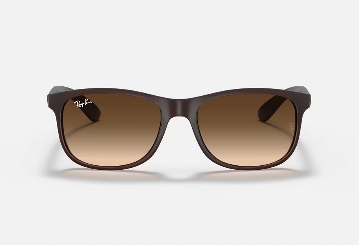 Sunglasses Ray Ban RB 4202 Andy