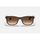 Sunglasses Ray Ban RB 4202 Andy