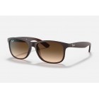 Sunglasses Ray Ban RB 4202 Andy