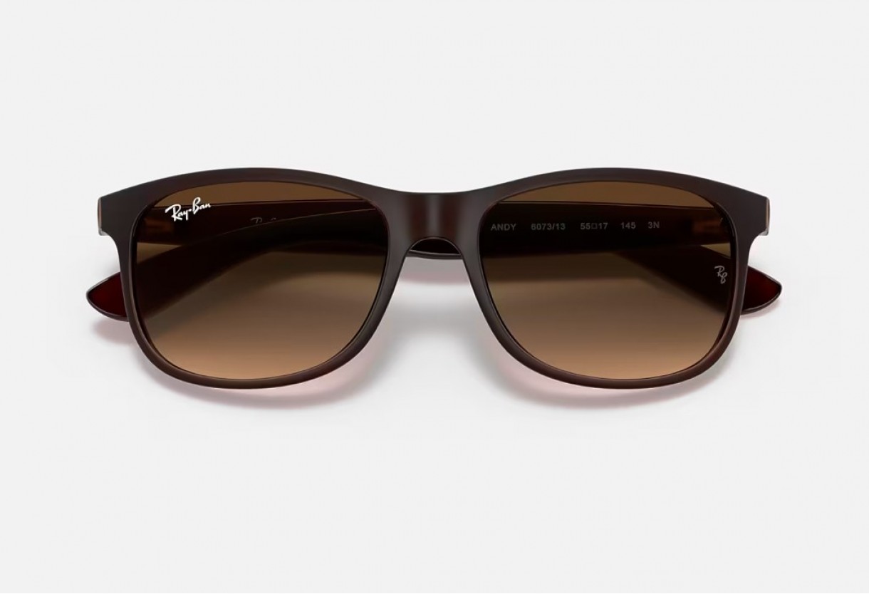 Sunglasses Ray Ban RB 4202 Andy