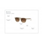 Sunglasses Ray Ban RB 4259