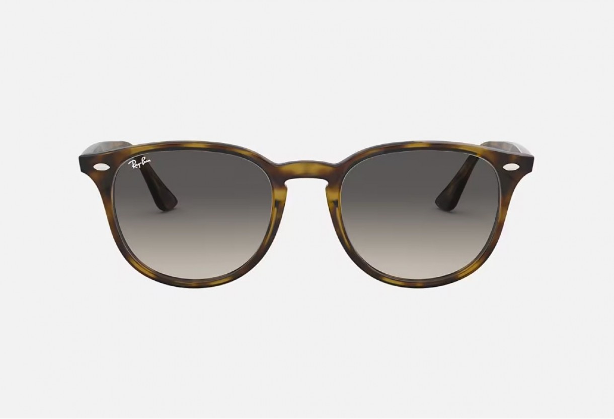 Sunglasses Ray Ban RB 4259