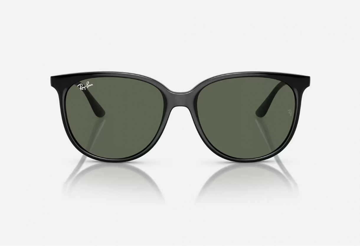 Sunglasses Ray Ban  RB 4378