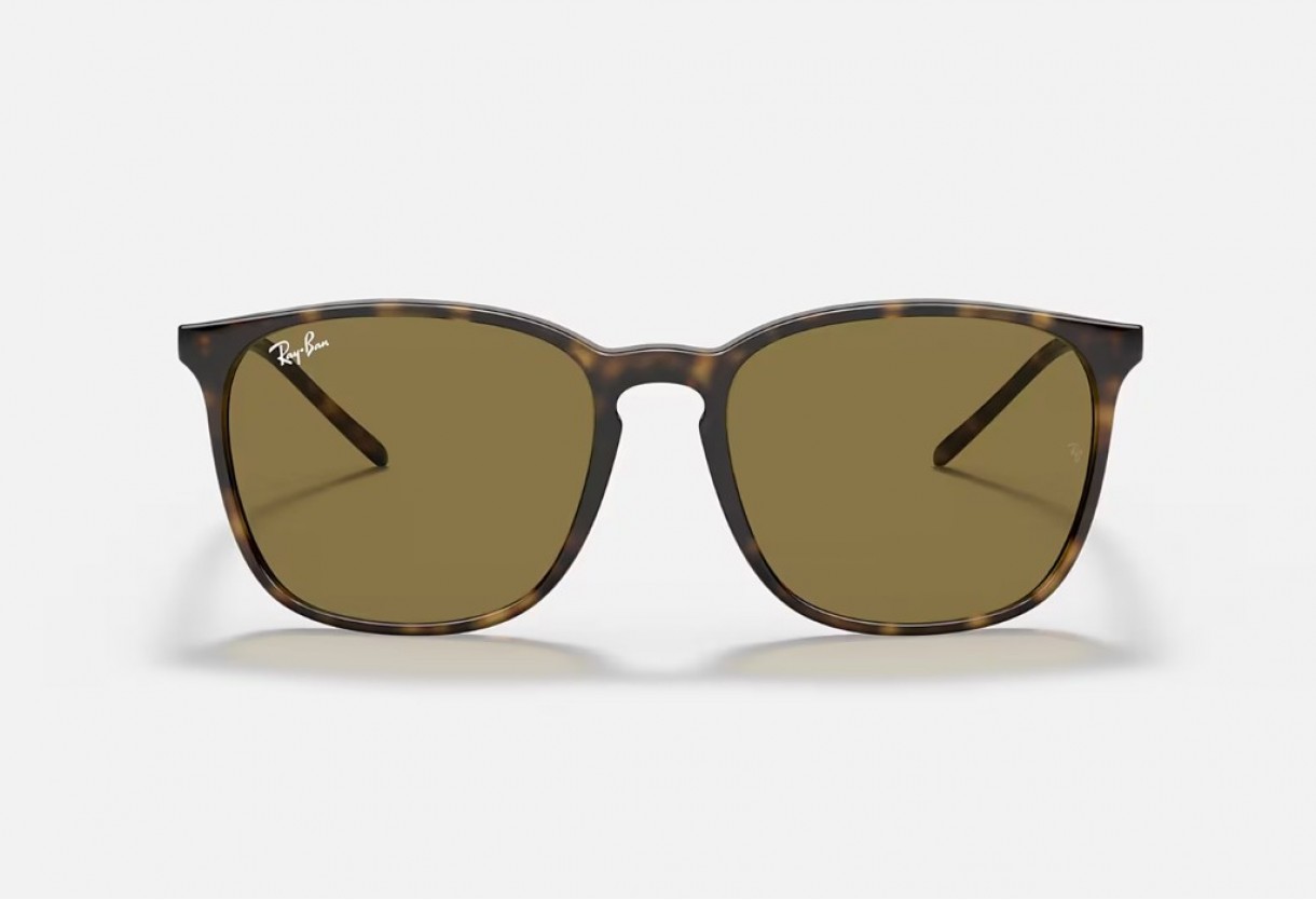 Sunglasses Ray Ban RB 4387