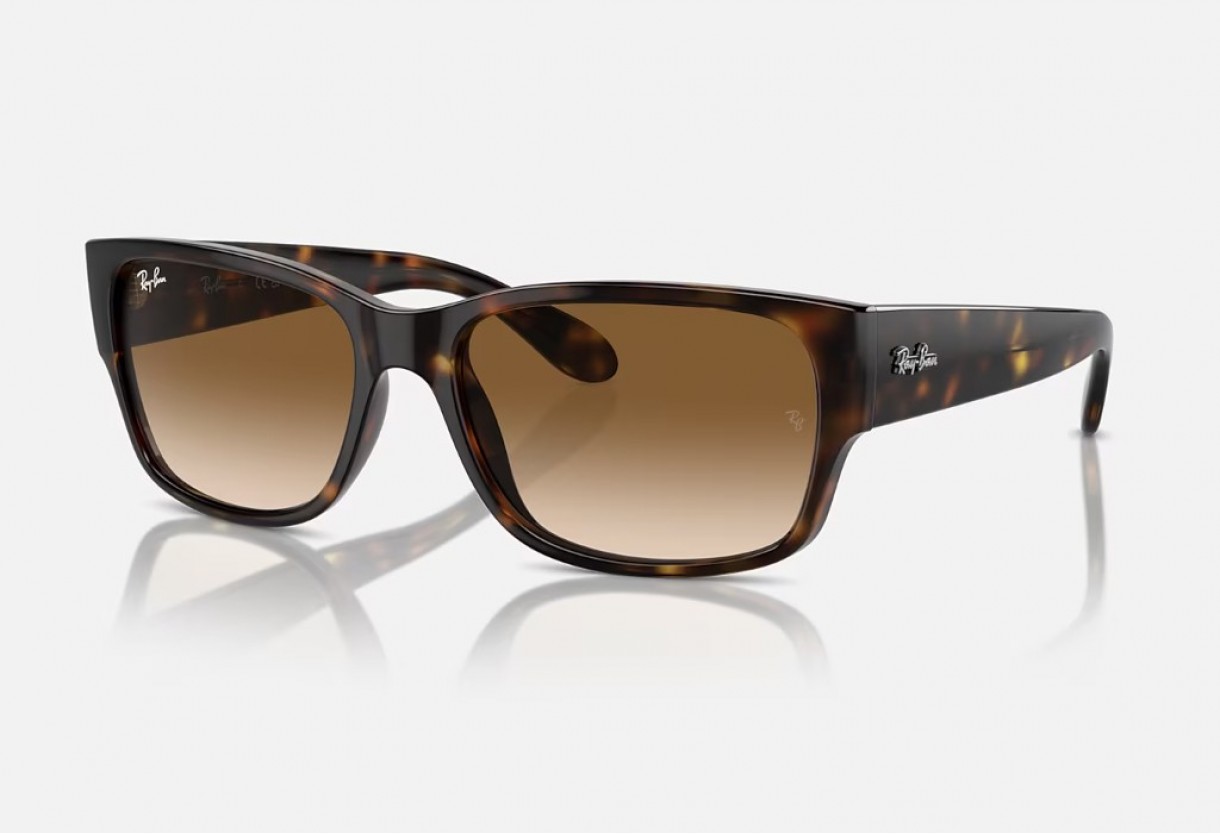 Sunglasses Ray Ban RB 4388