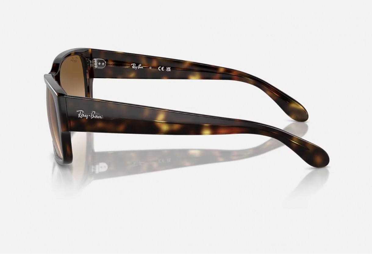 Sunglasses Ray Ban RB 4388