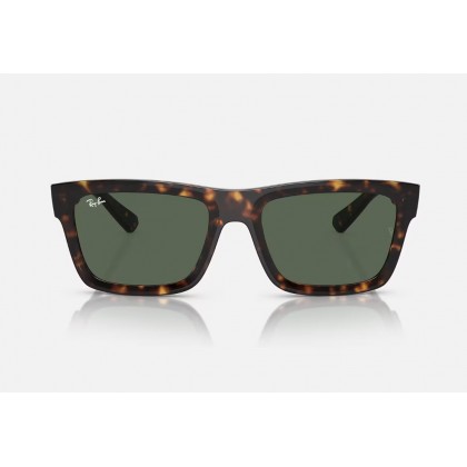 Sunglasses Ray Ban RB 4396  Warren