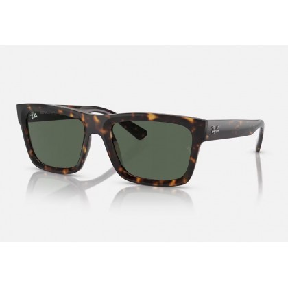 Sunglasses Ray Ban RB 4396  Warren