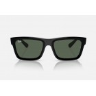 Γυαλιά ηλίου Ray Ban RB 4396 Warren