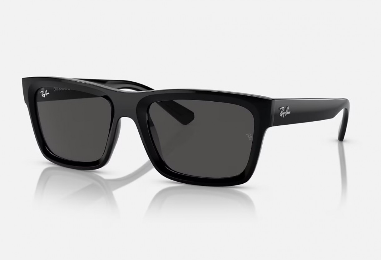 Γυαλιά ηλίου Ray Ban RB 4396  Warren