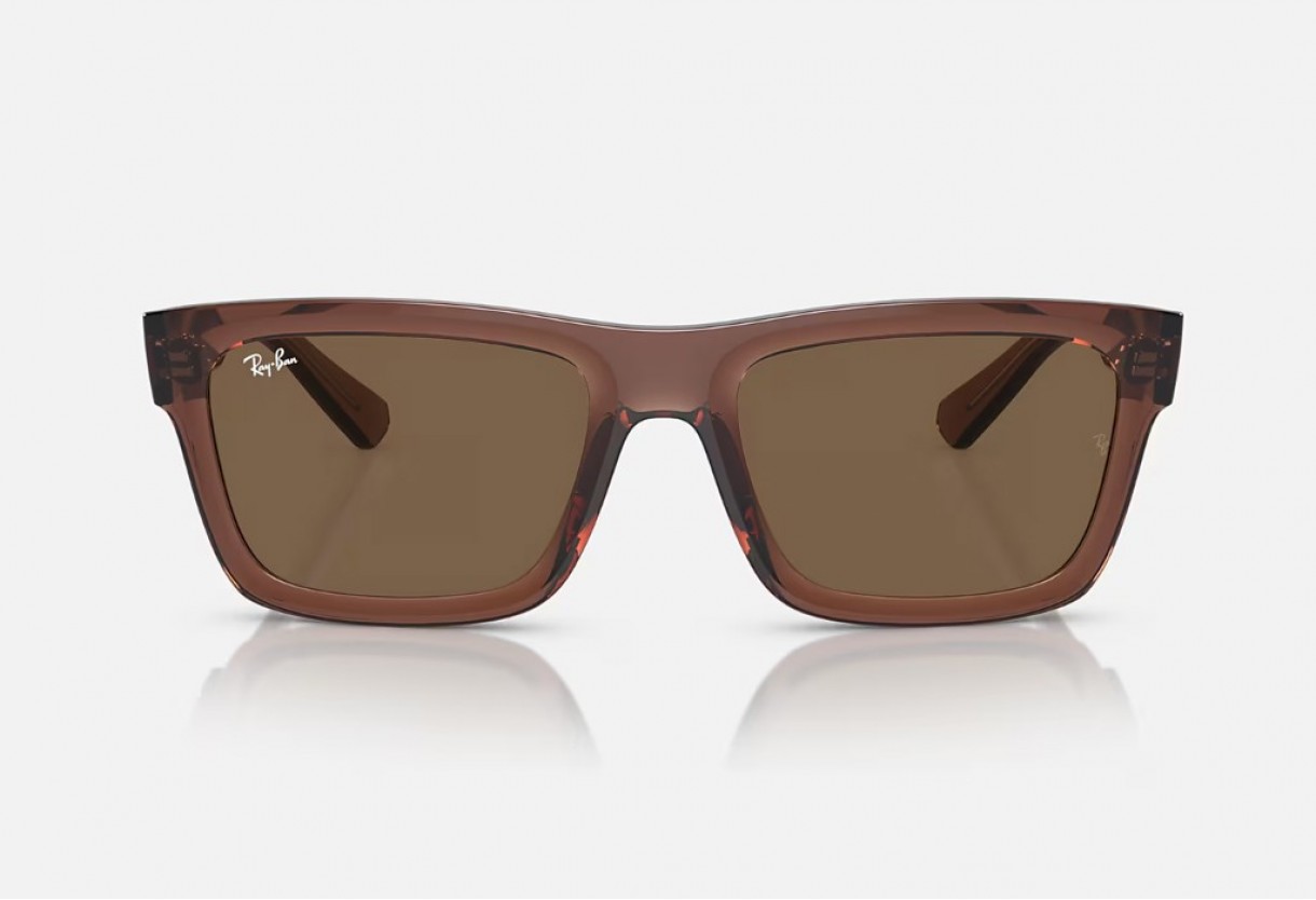 Γυαλιά ηλίου Ray Ban RB 4396  Warren