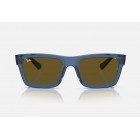 Γυαλιά ηλίου Ray Ban RB 4396 Warren