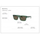 Γυαλιά ηλίου Ray Ban RB 4396 Warren Polarized