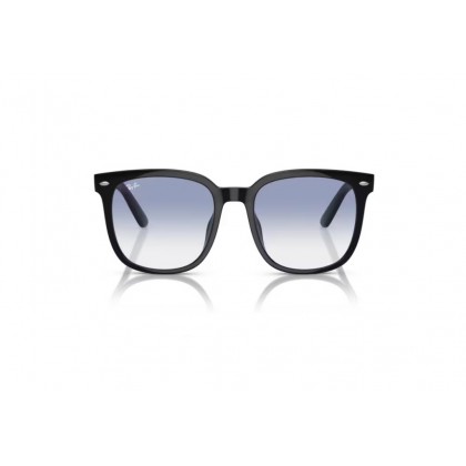 Γυαλιά ηλίου Ray Ban RB 4401D 