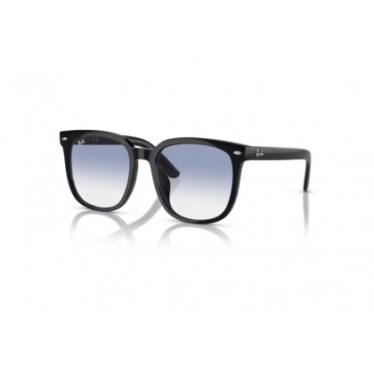 Γυαλιά ηλίου Ray Ban RB 4401D 