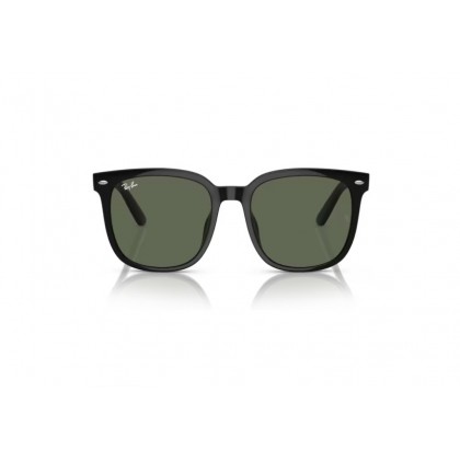 Γυαλιά ηλίου Ray Ban RB 4401D 