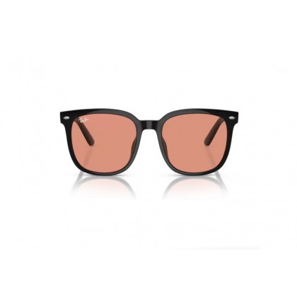 Γυαλιά ηλίου Ray Ban RB 4401D 