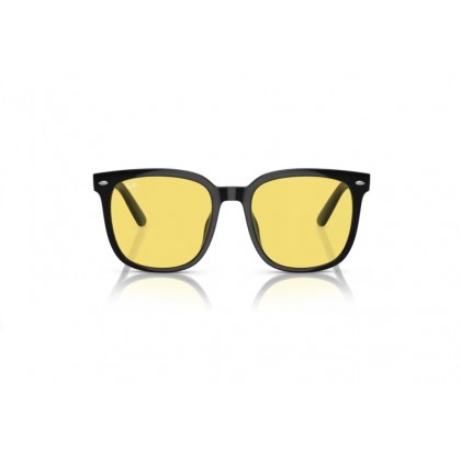 Γυαλιά ηλίου Ray Ban RB 4401D 