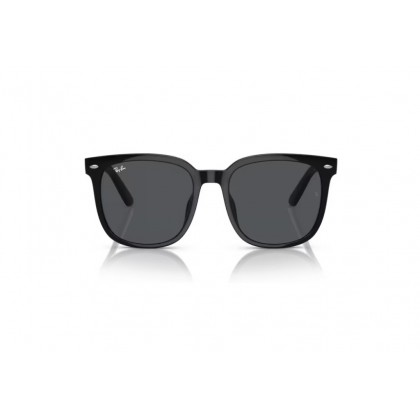 Γυαλιά ηλίου Ray Ban RB 4401D 