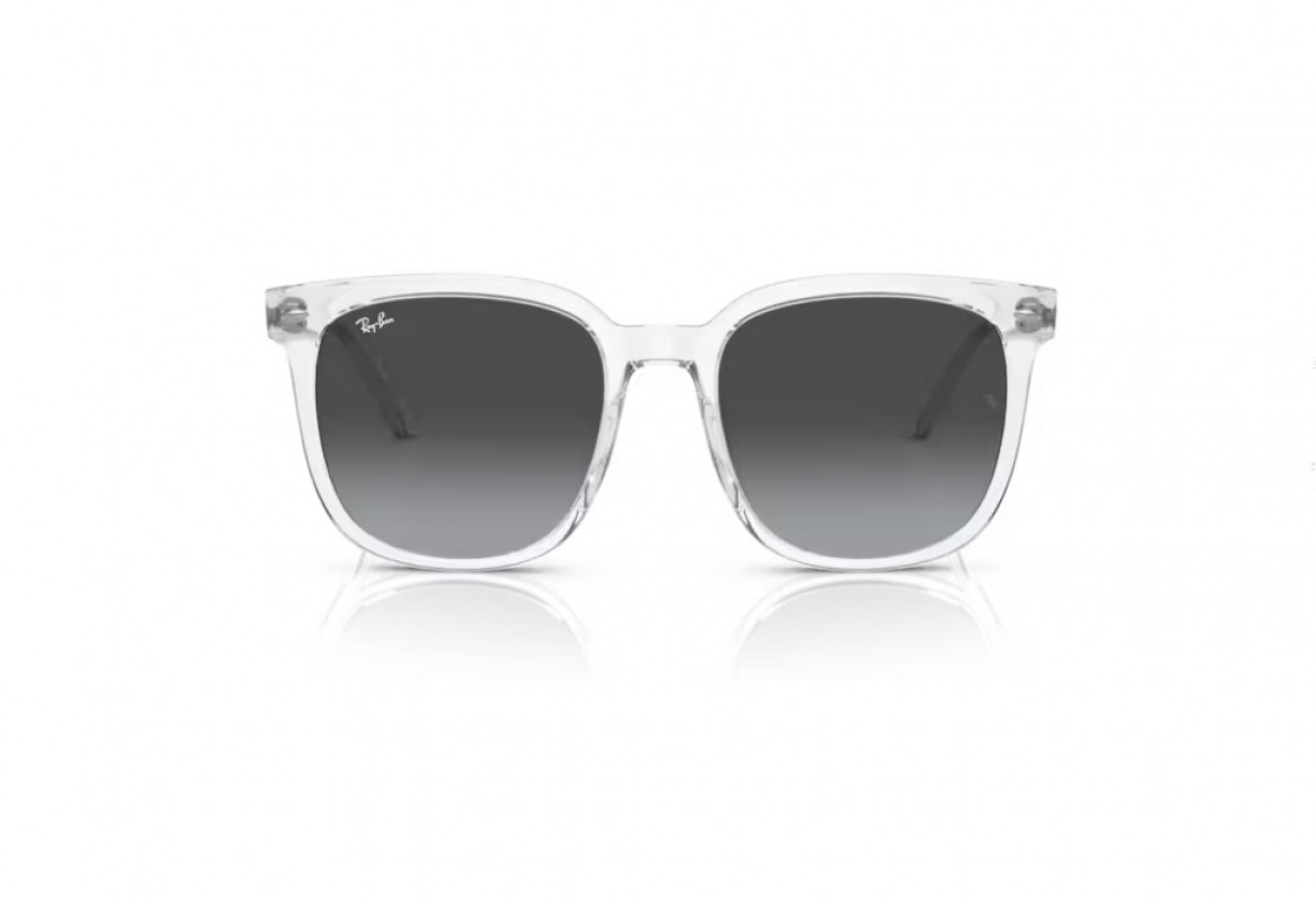 Γυαλιά ηλίου Ray Ban RB 4401D