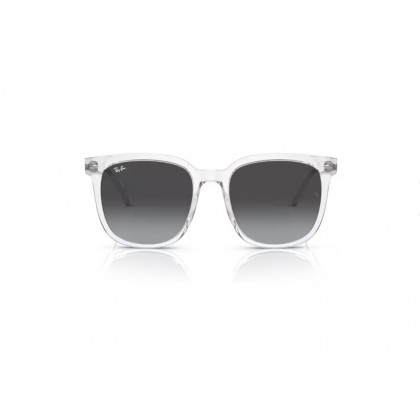 Sunglasses Ray Ban RB 4401D 