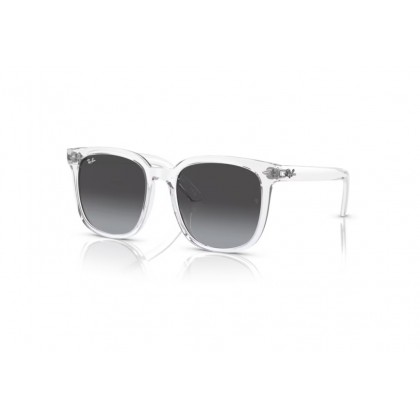 Γυαλιά ηλίου Ray Ban RB 4401D 