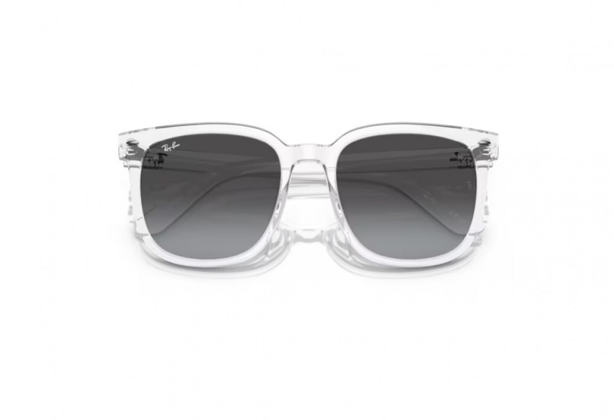 Γυαλιά ηλίου Ray Ban RB 4401D