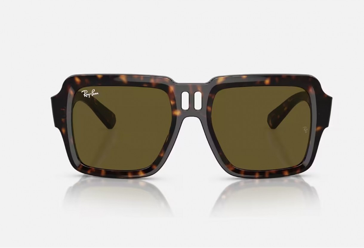 Sunglasses Ray Ban RB 4408 Magellan