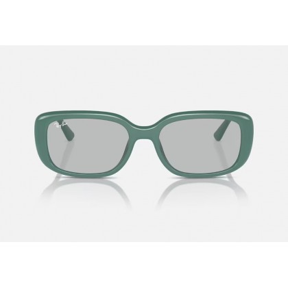 Sunglasses Ray Ban RB 4421D 