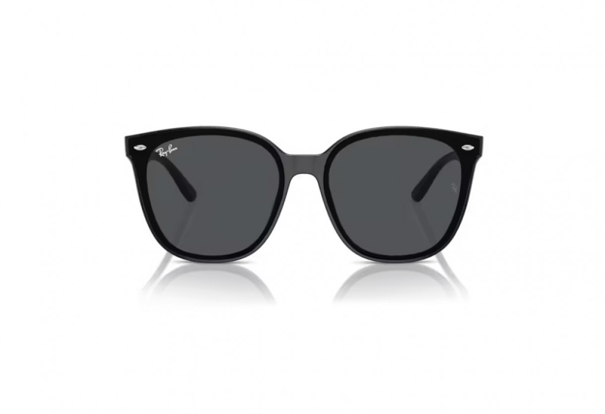 Sunglasses Ray Ban RB 4423D