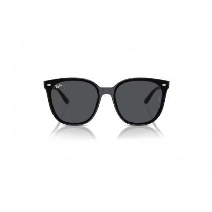 Sunglasses Ray Ban RB 4423D 