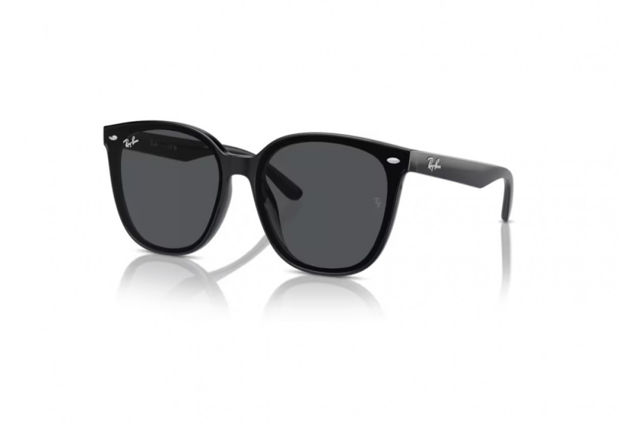 Sunglasses Ray Ban RB 4423D