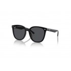 Sunglasses Ray Ban RB 4423D