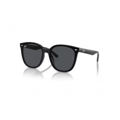 Sunglasses Ray Ban RB 4423D 