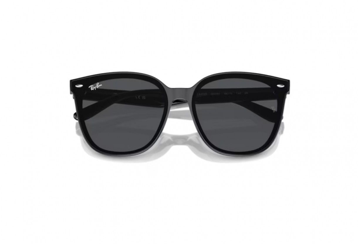 Sunglasses Ray Ban RB 4423D