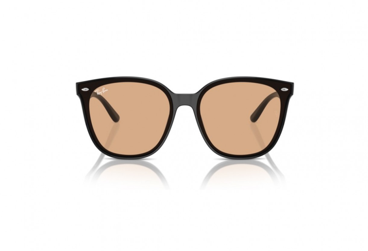 Sunglasses Ray Ban RB 4423D