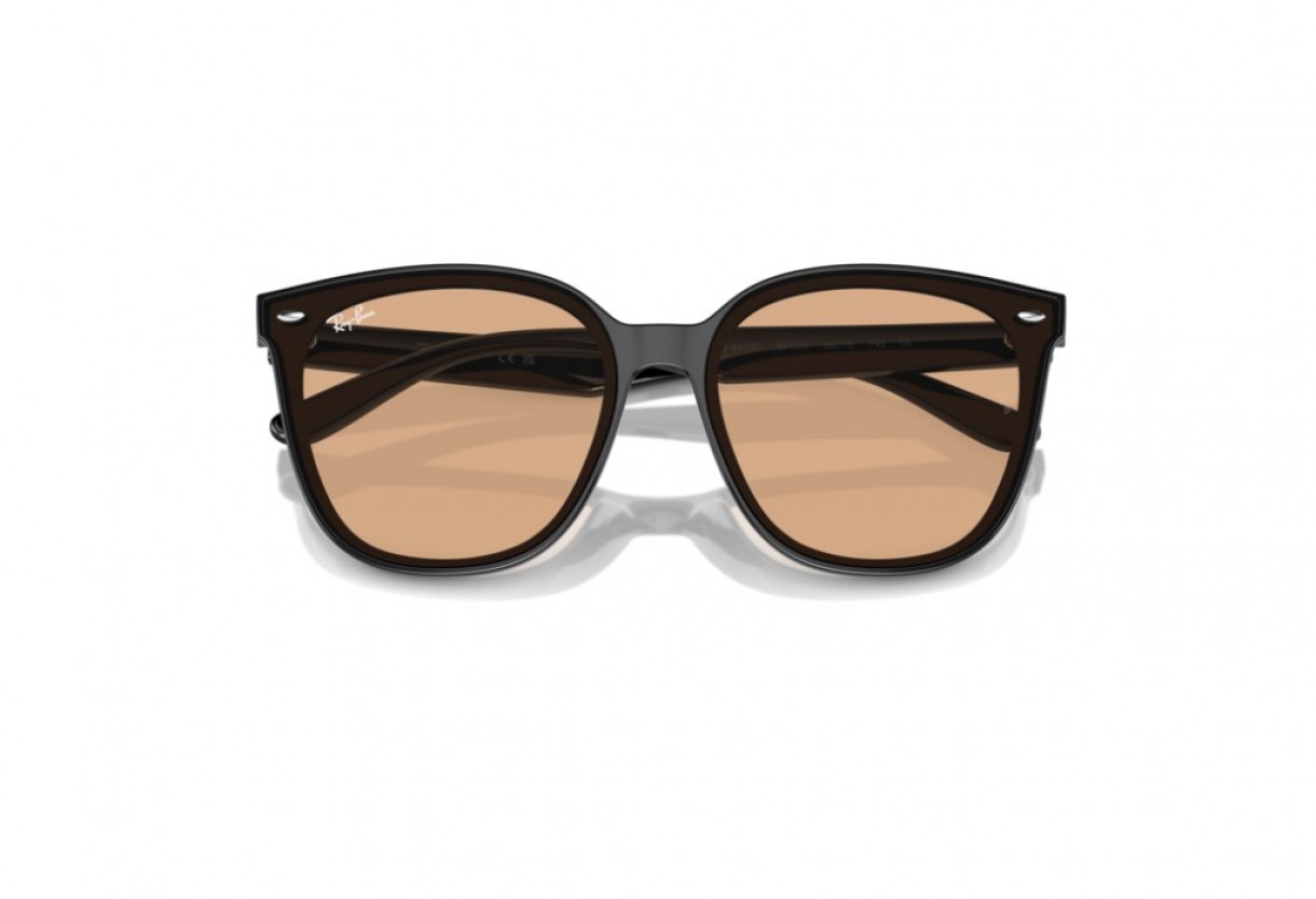 Sunglasses Ray Ban RB 4423D