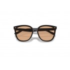 Sunglasses Ray Ban RB 4423D