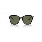 Sunglasses Ray Ban RB 4423D Polarized