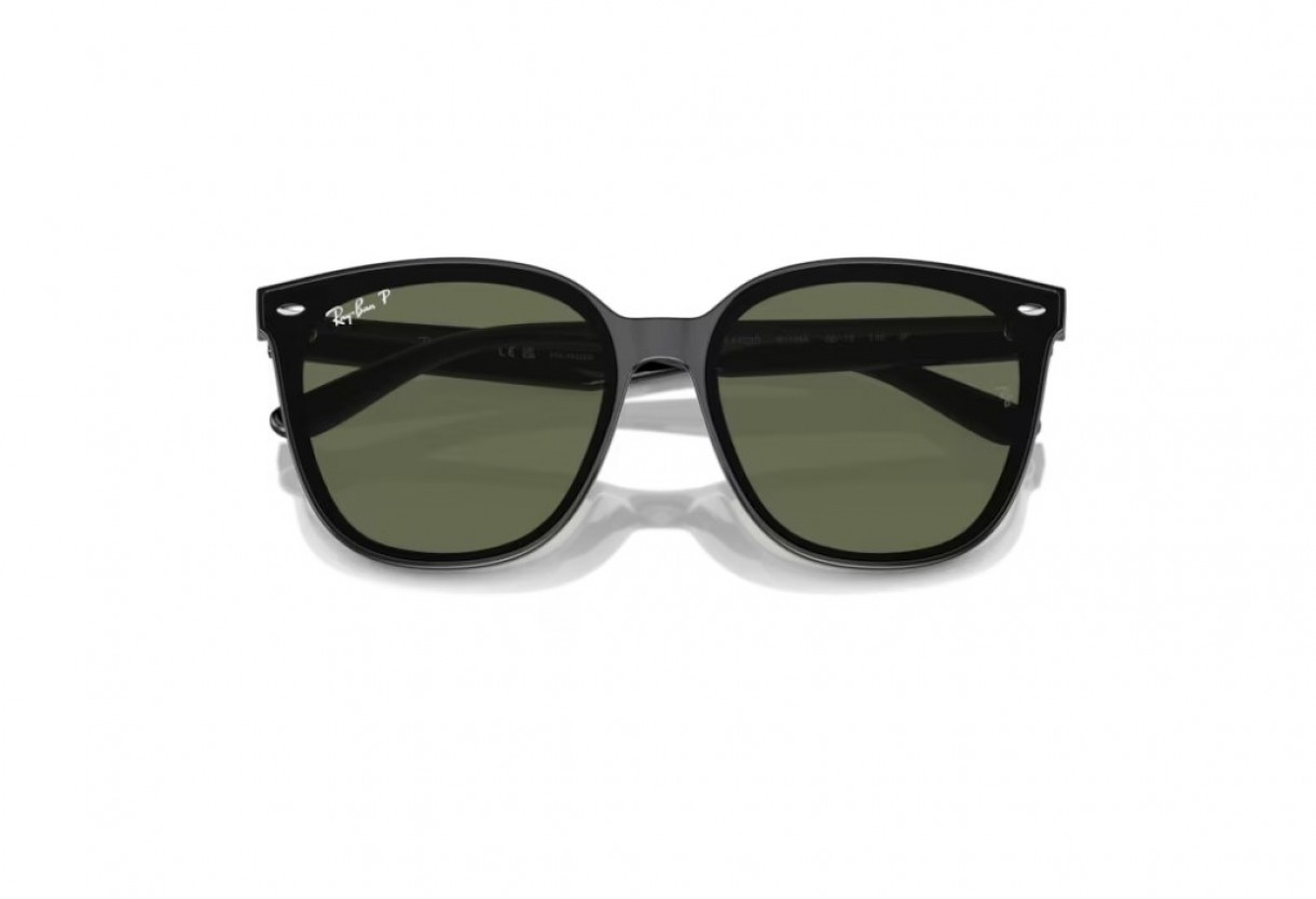 Sunglasses Ray Ban RB 4423D Polarized