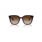 Sunglasses Ray Ban RB 4423D