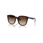 Sunglasses Ray Ban RB 4423D