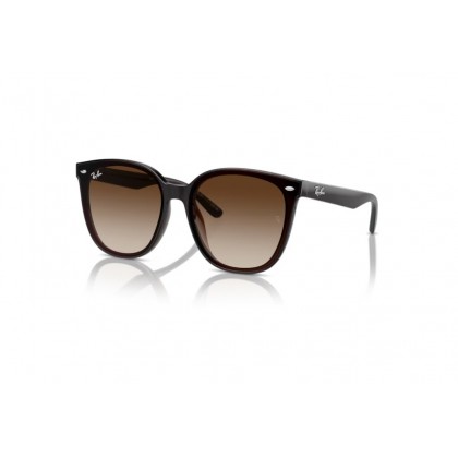 Γυαλιά ηλίου Ray Ban RB 4423D 