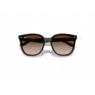 Sunglasses Ray Ban RB 4423D