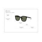 Sunglasses Ray Ban RB 4423D