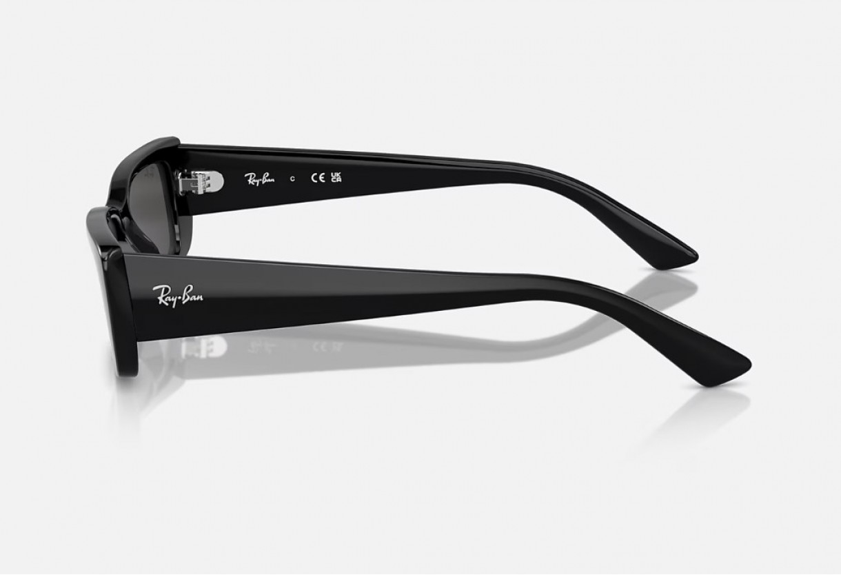 Sunglasses Ray Ban RB 4425 Teru