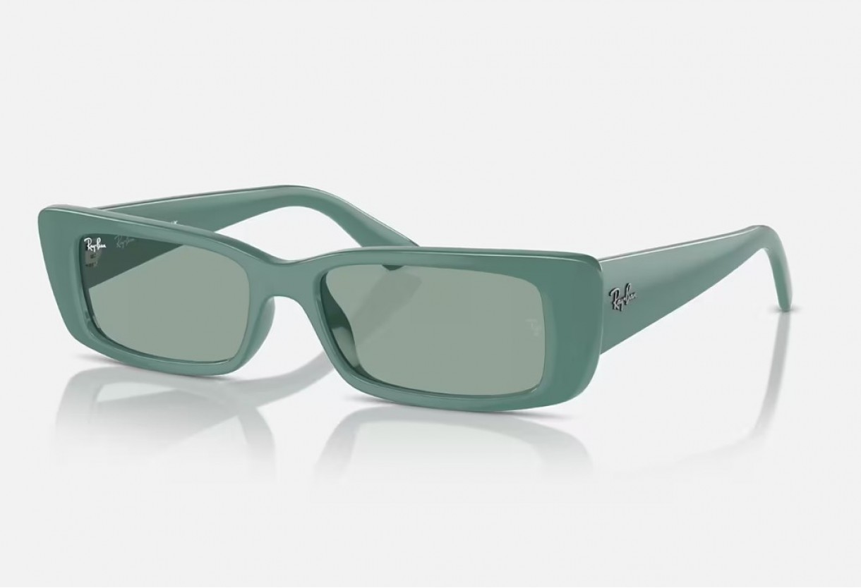 Sunglasses Ray Ban RB 4425 Teru