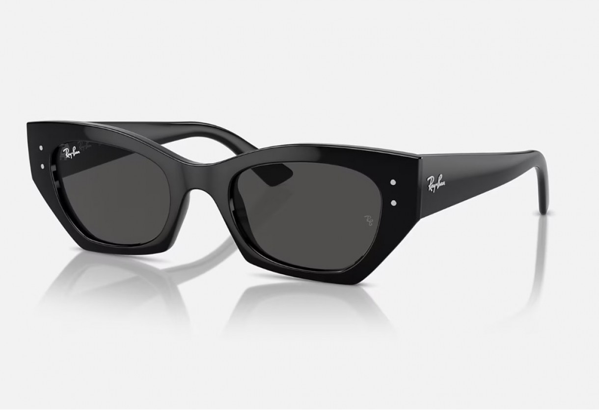 Sunglasses Ray Ban RB 4430 Zena